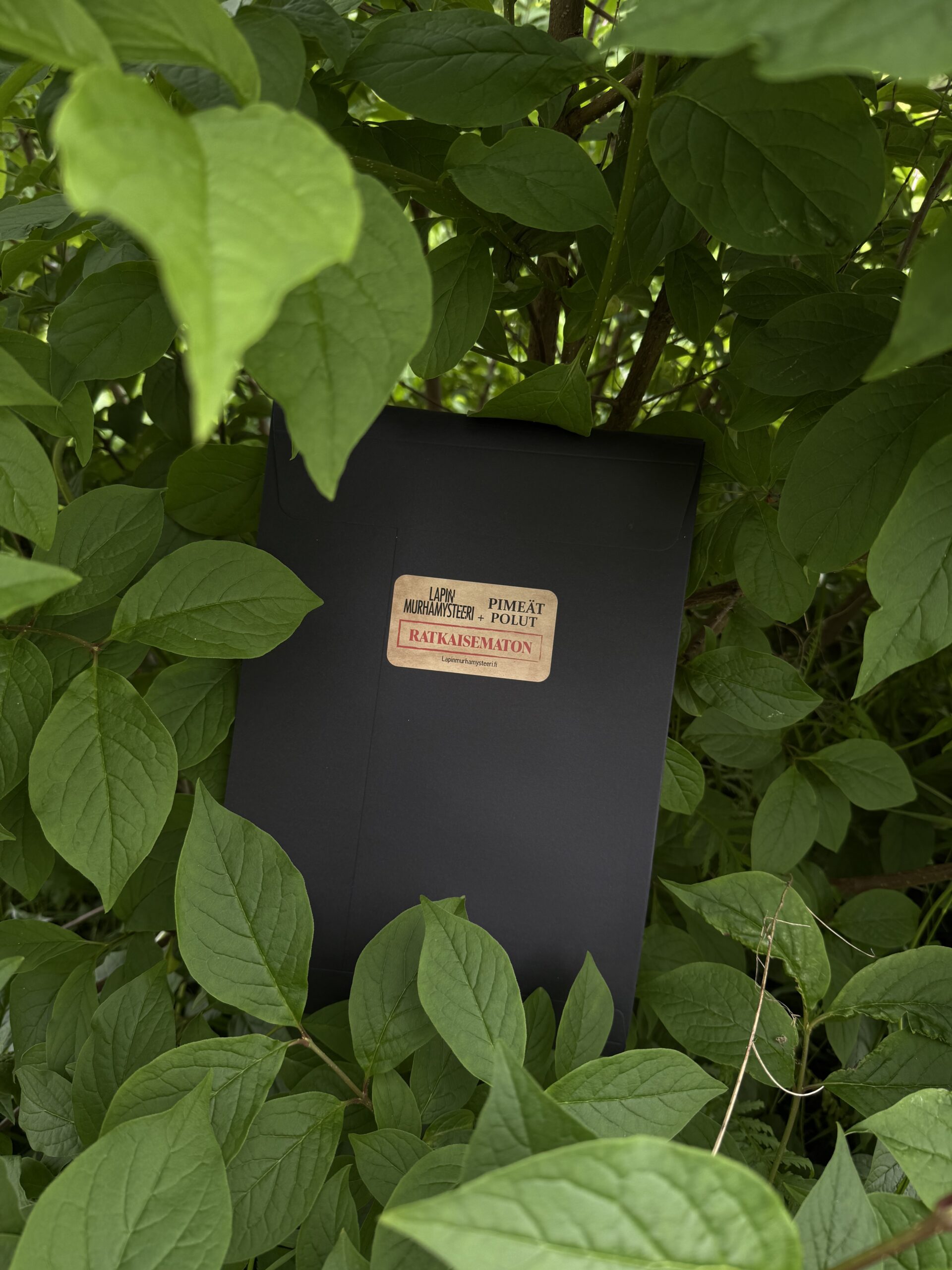 Yli-Muonio Ratkaisematon tapaus - Image 2